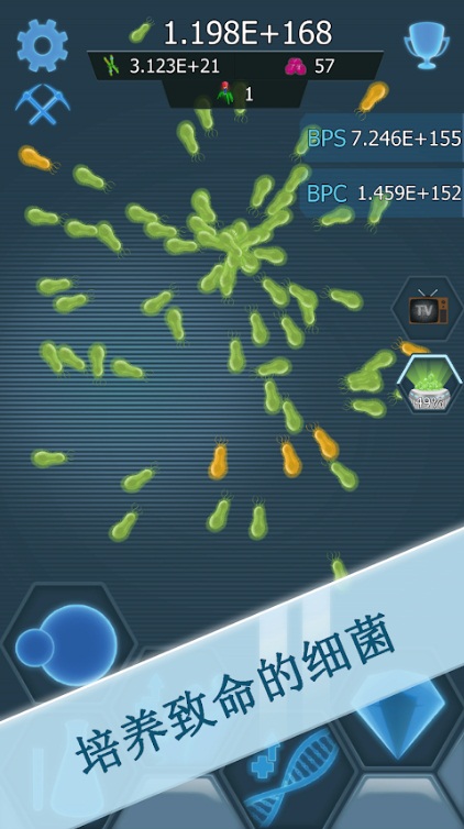 细菌接管的图册