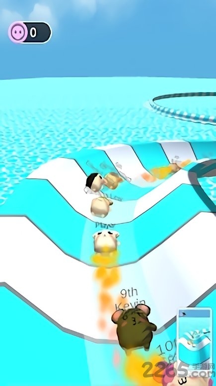 仓鼠水上乐园游戏的图册