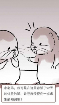 竹鼠：保卫战的图册