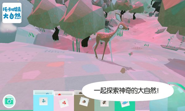 托卡城镇大自然中文版的图册