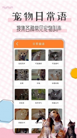 猫语翻译宝的图册