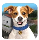 动物收容所模拟器