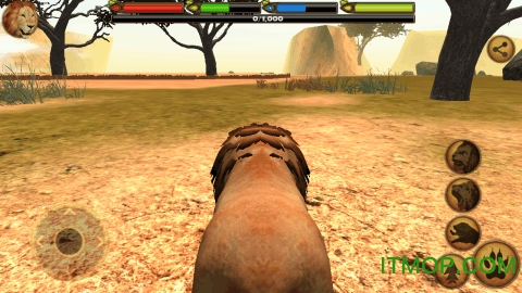 终极狮王模拟器最新版的图册