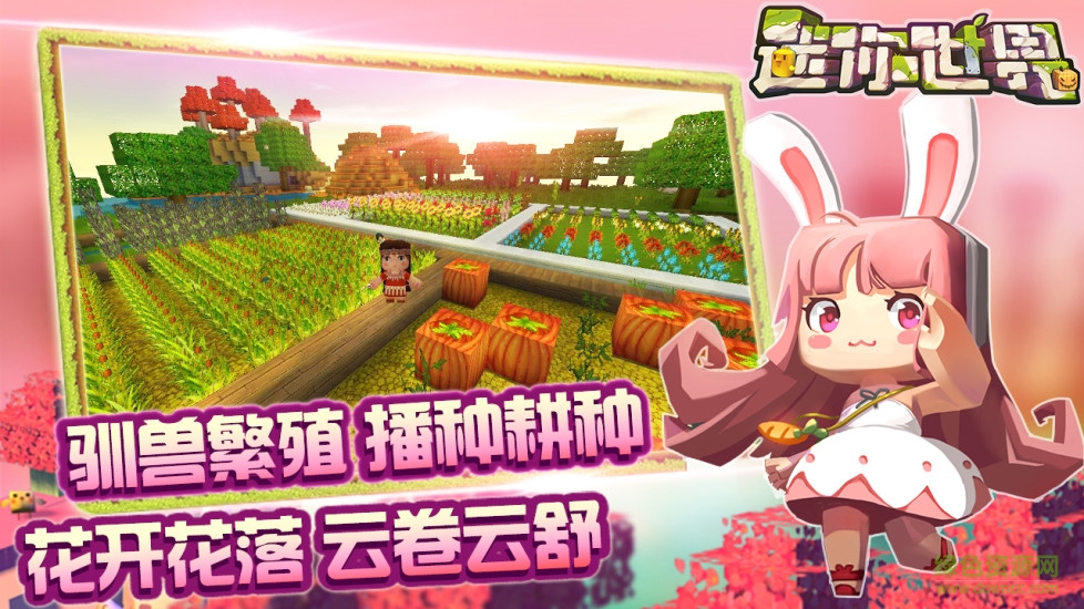 迷你世界金立手机版的图册