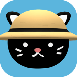 一只猫咪的故事