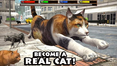 终极猫咪模拟器官方版的图册