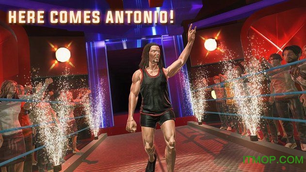 摔跤战士战斗游戏的图册