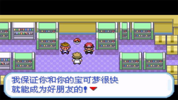 口袋妖怪盖亚半汉化版的图册