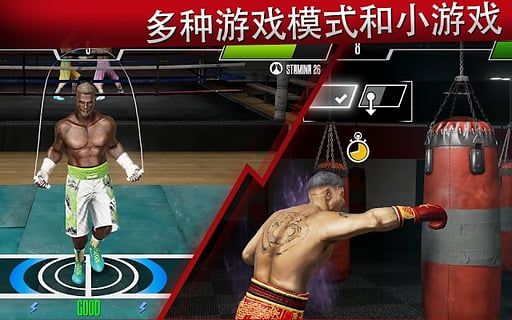 realboxing2apk的图册