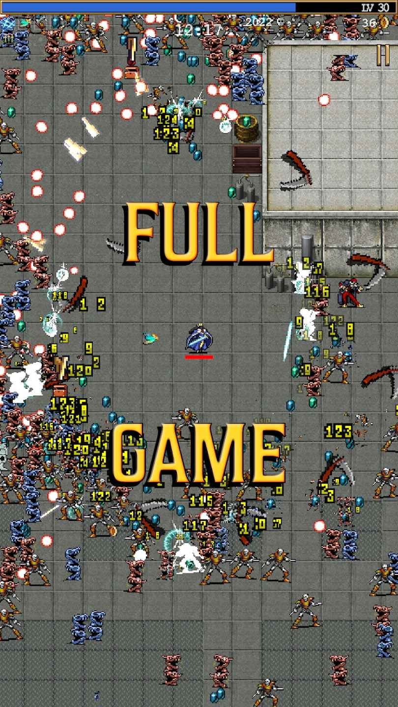 吸血鬼幸存者移植版的图册