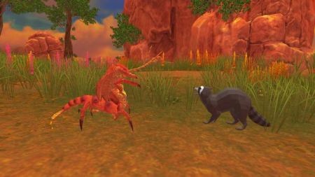 浣熊模拟的图册