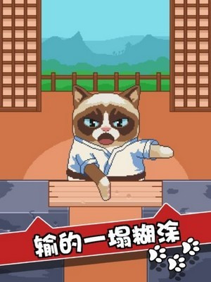 我的猫大人的图册