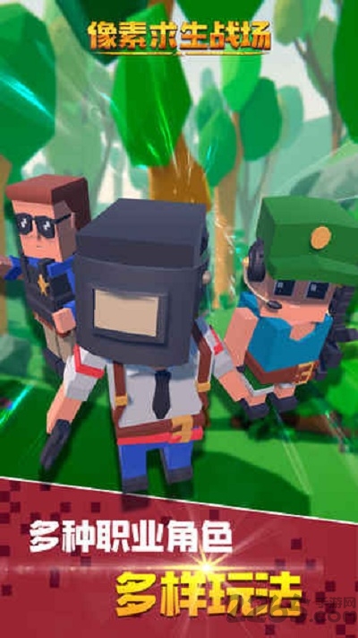 像素求生战场游戏的图册