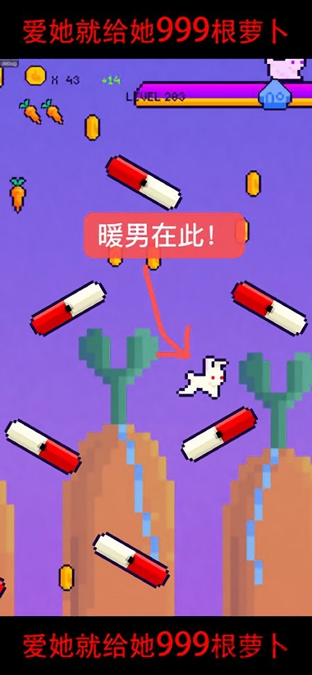 恩爱兔999根萝卜无限金币版的图册