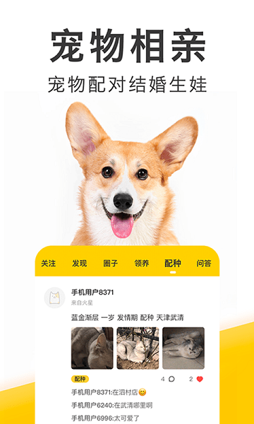 有只宠物客户端的图册