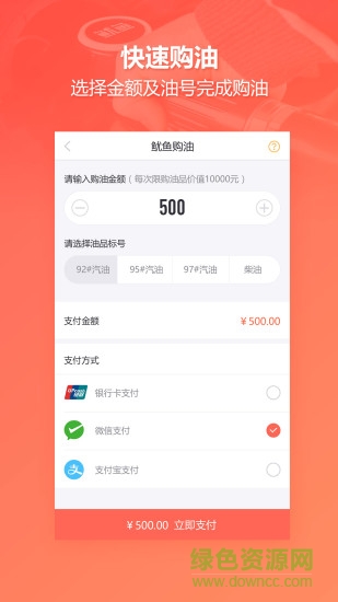 鱿鱼加油的图册