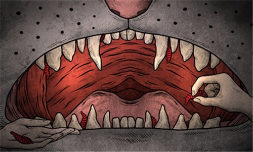 猫咪博物馆的图册