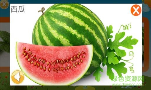 宝宝早教乐园天地手机版的图册