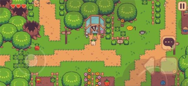 大头菜菜历险记中文版的图册