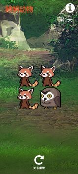 辨辨动物的图册