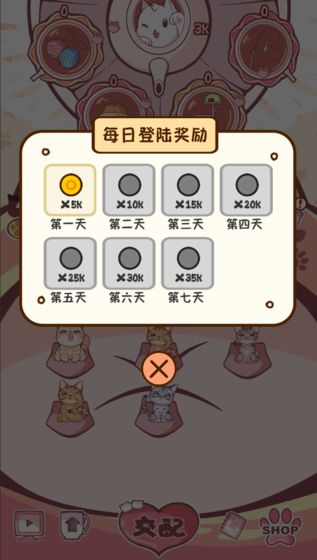 云撸猫咪的图册