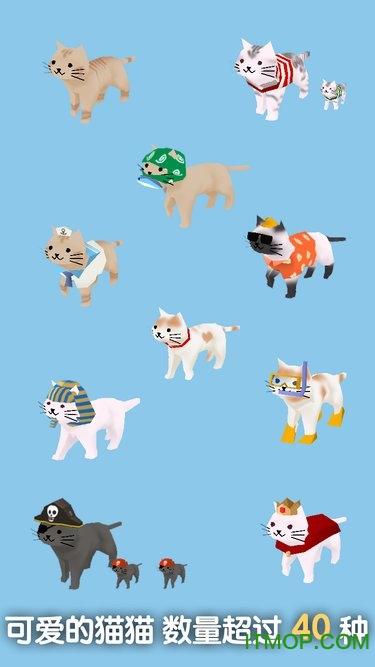 猫猫与鲨鱼破解版最新的图册