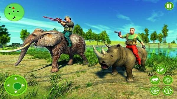 丛林迷路岛的图册