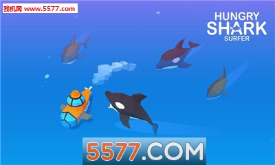 冲浪者鲨鱼躲避手机版的图册