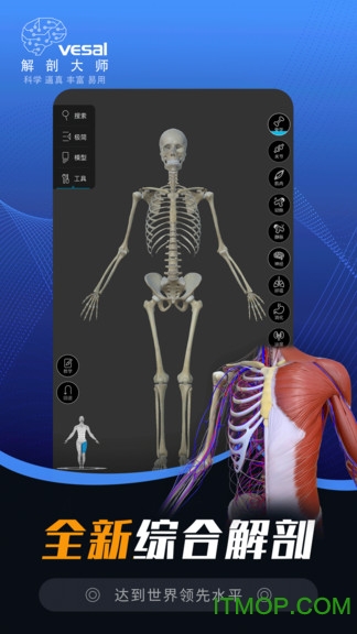 解剖大师最新版的图册