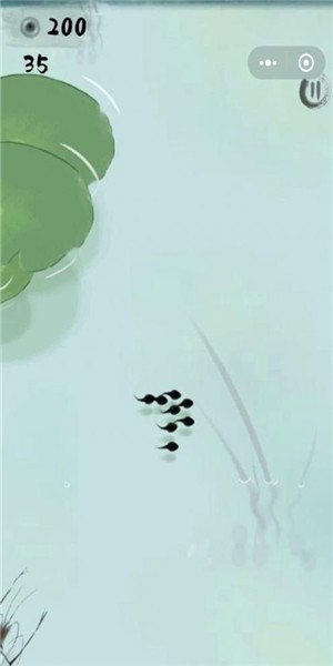 蝌蚪变王八最新版的图册