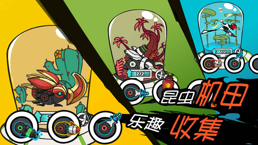 爆头甲虫的图册