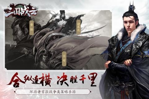 三国战云的图册