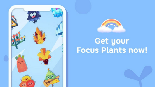 口袋植物专注的图册