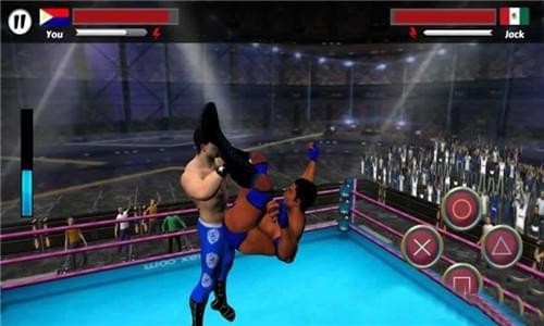 摔跤明星的图册