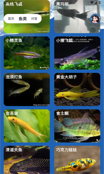 天天钓鱼大师官方版的图册