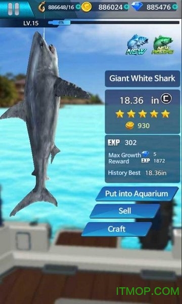 钓鱼锦标赛破解版(FishingChampionship)的图册