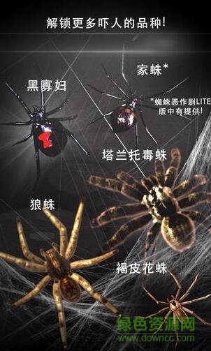 手机屏幕养蜘蛛软件SpiderPrank的图册