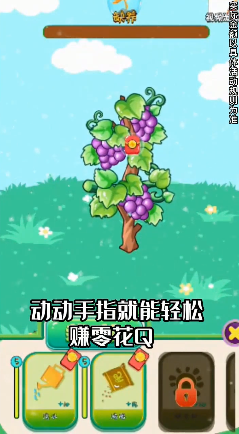 鸿运葡萄园的图册