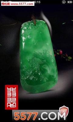 翡翠王朝官方版的图册