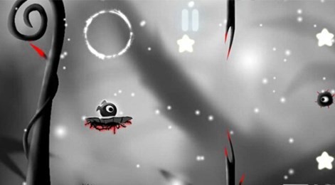 奇妙的森林的图册