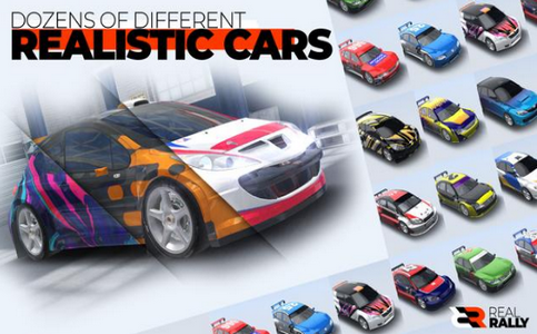 真实拉力赛车的图册