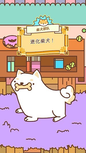 柴犬部队的图册