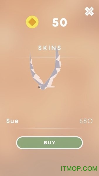 单词之翼破解版的图册