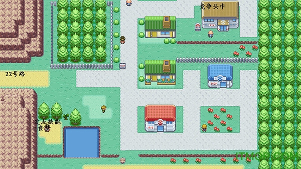 口袋妖怪梦的光点手游的图册