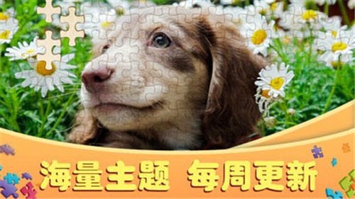 阿超拼拼图的图册