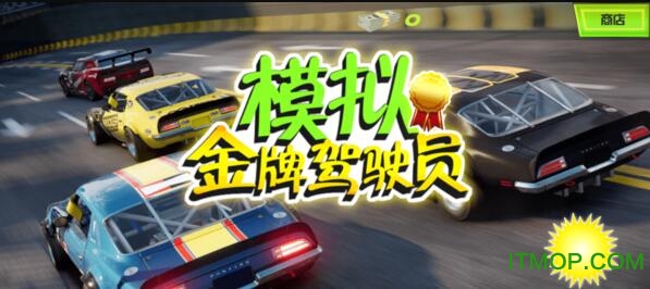 模拟金牌驾驶员的图册