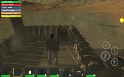 繁荣的小岛生存的图册