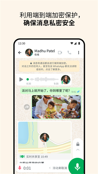 whatsapp国内版的图册