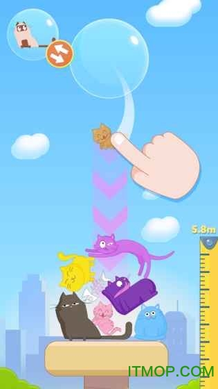 猫米堆垛的图册