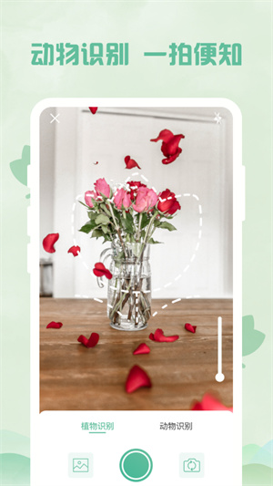 识别植物软件的图册